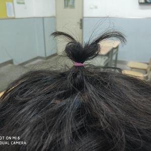 瑟清网页入口不用下载y
