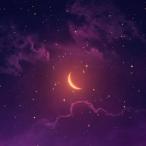 瑟清网页入口不用下载y
