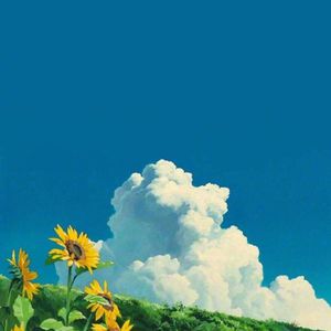 瑟清网页入口不用下载y
